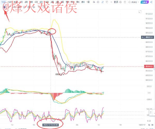 揭秘世界杯盘口平台热门趋势分析